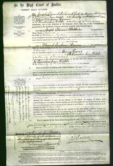 Court of Common Pleas - Eleanor Ryder-Original Ancestry