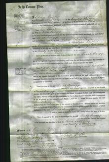 Court of Common Pleas - Sarah Jessupp-Original Ancestry