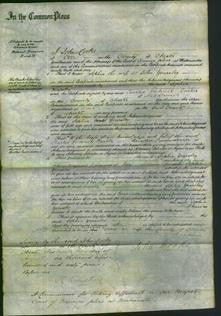 Court of Common Pleas - Sophia Gearsley-Original Ancestry