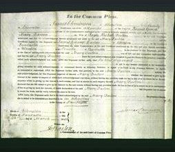 Court of Common Pleas - Mary Barton-Original Ancestry