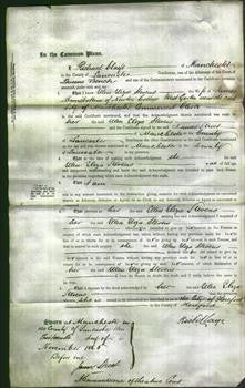 Court of Common Pleas - Ellen Eliza Stevens Ramsbottom-Original Ancestry