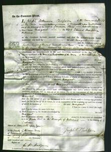 Court of Common Pleas - Margaret Pickering-Original Ancestry