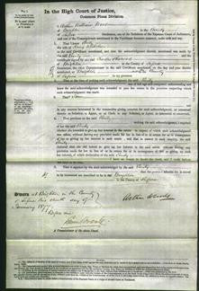 Court of Common Pleas - Emily Nicholson-Original Ancestry