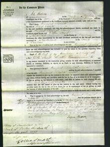 Court of Common Pleas - Margaret Elizabeth Snaith-Original Ancestry