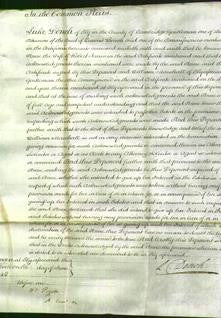 Court of Common Pleas - Anne James-Original Ancestry