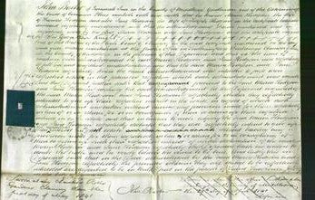 Court of Common Pleas - Maria Hodgson and Jane Hodgson-Original Ancestry