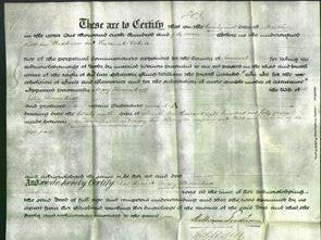 Deed by Married Women - Mary Honniball-Original Ancestry
