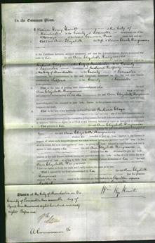 Court of Common Pleas - Ann Elizabeth Hargreaves-Original Ancestry