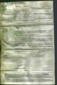 Court of Common Pleas - Emily Drayton-Original Ancestry