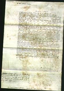 Court of Common Pleas- Elizabeth Kemp-Original Ancestry