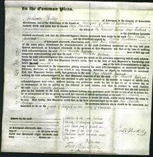 Court of Common Pleas - Eliza Charlotte Redhead-Original Ancestry