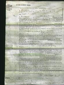 Court of Common Pleas - Ruth Dewhirst-Original Ancestry