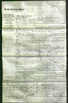 Court of Common Pleas - Clarissa Widden and Jane Fieldhouse-Original Ancestry