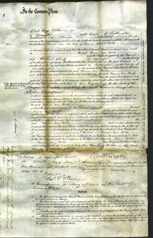 Court of Common Pleas - Frances Ann Noble-Original Ancestry