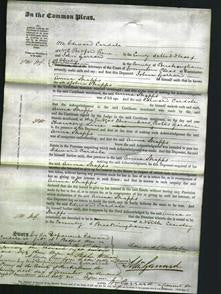 Court of Common Pleas - Anna Strapps-Original Ancestry