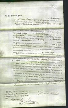 Court of Common Pleas - Jane Louisa Victoria Hinchliffe-Original Ancestry