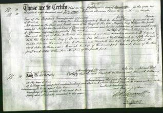 Deed by Married Women - Elizabeth Williams and Hannah Williams-Original Ancestry