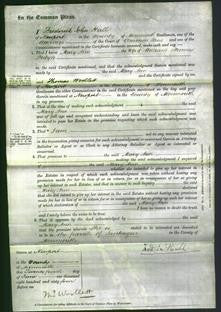 Court of Common Pleas - Mary Ann Probyn-Original Ancestry