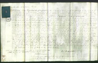 Court of Common Pleas - Caroline Robinson-Original Ancestry