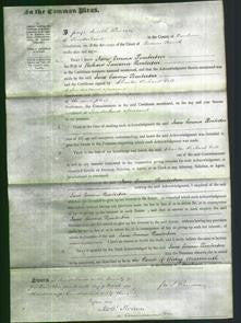 Court of Common Pleas - Jane Emma Pemberton-Original Ancestry