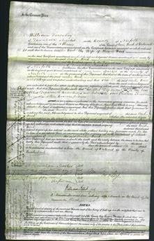 Court of Common Pleas - Amelia Wood-Original Ancestry