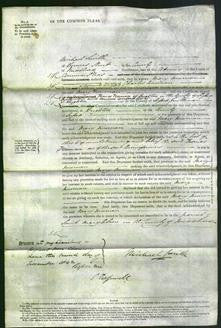 Court of Common Pleas - Mary Newman-Original Ancestry