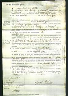 Court of Common Pleas - Charlotte Gale-Original Ancestry