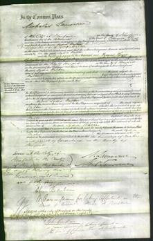 Court of Common Pleas - Lydia Walker-Original Ancestry