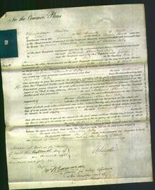 Court of Common Pleas - Catherine Chambers Jelly-Original Ancestry