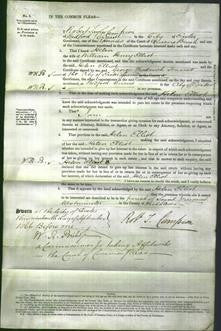 Court of Common Pleas - Helen Elliot-Original Ancestry