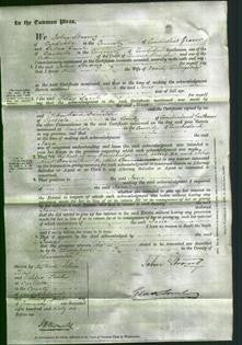 Court of Common Pleas - Jane Livingston-Original Ancestry