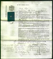 Court of Common Pleas - Caroline Ellen Thurston-Original Ancestry