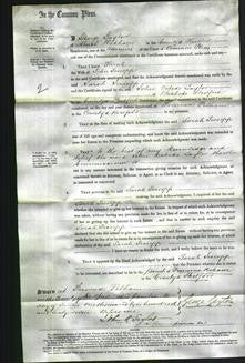 Court of Common Pleas - Sarah Jessupp-Original Ancestry