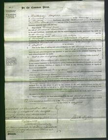 Court of Common Pleas - Mary Ann Hambleton-Original Ancestry