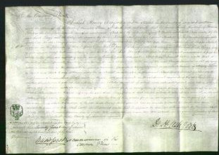 Court of Common Pleas - Leah Flagg-Original Ancestry