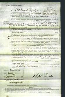 Court of Common Pleas - Mary Ann Jane Dowling-Original Ancestry