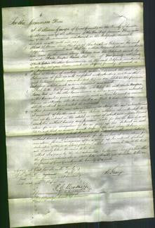 Court of Common Pleas - Jacey Palmer-Original Ancestry