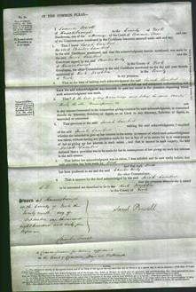 Court of Common Pleas - Sarah Lambert-Original Ancestry