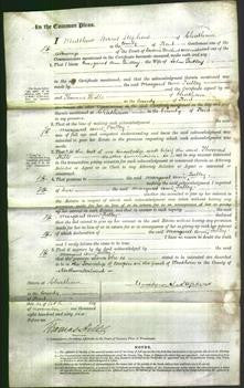 Court of Common Pleas - Margaret Ann Tulley-Original Ancestry