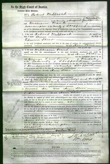 Court of Common Pleas - Ann Steer-Original Ancestry