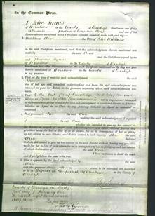 Court of Common Pleas - Ann Williams-Original Ancestry