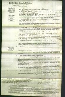 Court of Common Pleas - Anne Simpson-Original Ancestry