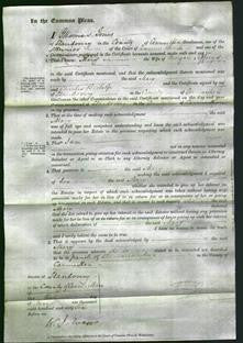 Court of Common Pleas - Mary Jeffreys-Original Ancestry