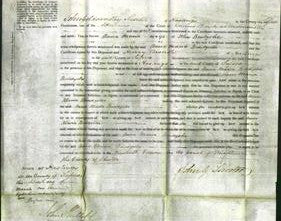 Court of Common Pleas - Anna Maria Bendyshe-Original Ancestry