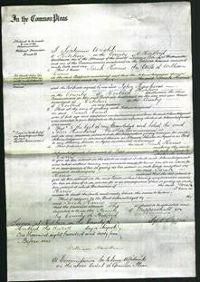 Court of Common Pleas - Sarah Harris-Original Ancestry