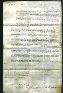 Court of Common Pleas - Eliza Bale-Original Ancestry