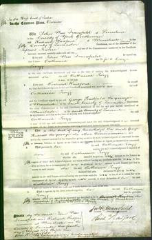 Court of Common Pleas - Catharine Twigg-Original Ancestry