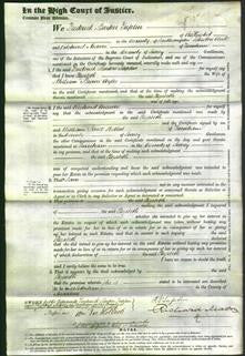 Court of Common Pleas - Elizabeth Ayles-Original Ancestry