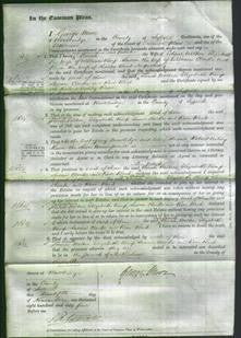 Court of Common Pleas - Lucy Patrick, Sarah Wolton, Elizabeth Kemp, Susan Clarke and Rose Bird-Original Ancestry