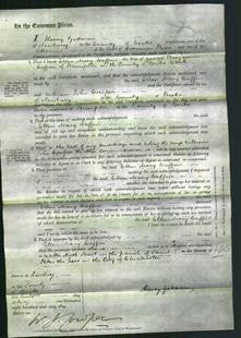 Court of Common Pleas - Ellen Mary Caffin-Original Ancestry